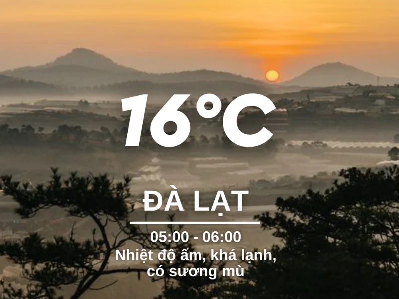 Lý do thời tiết Đà Lạt cuối năm khiến ai cũng muốn xách balo lên và đi