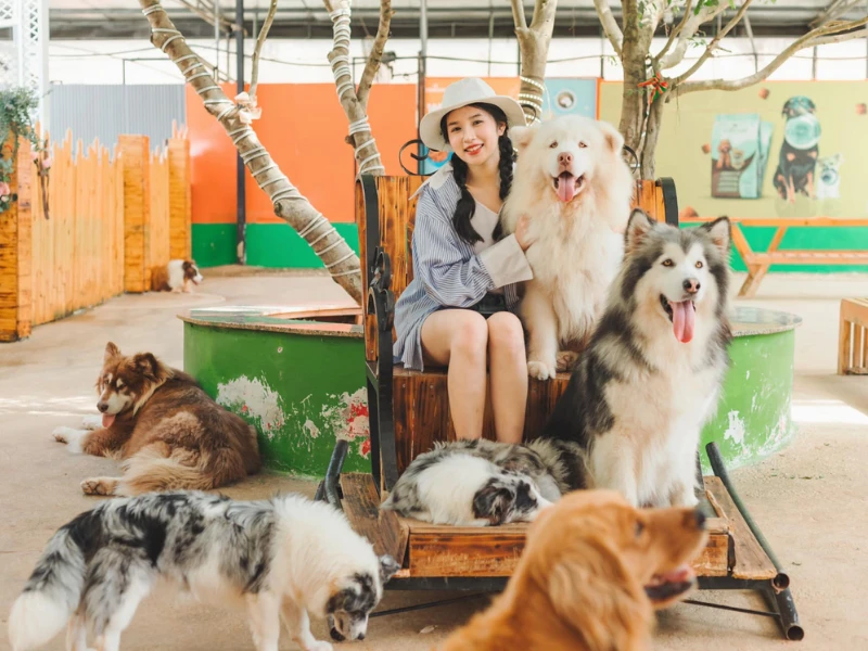 Trang trại cún Puppy Farm Đà Lạt