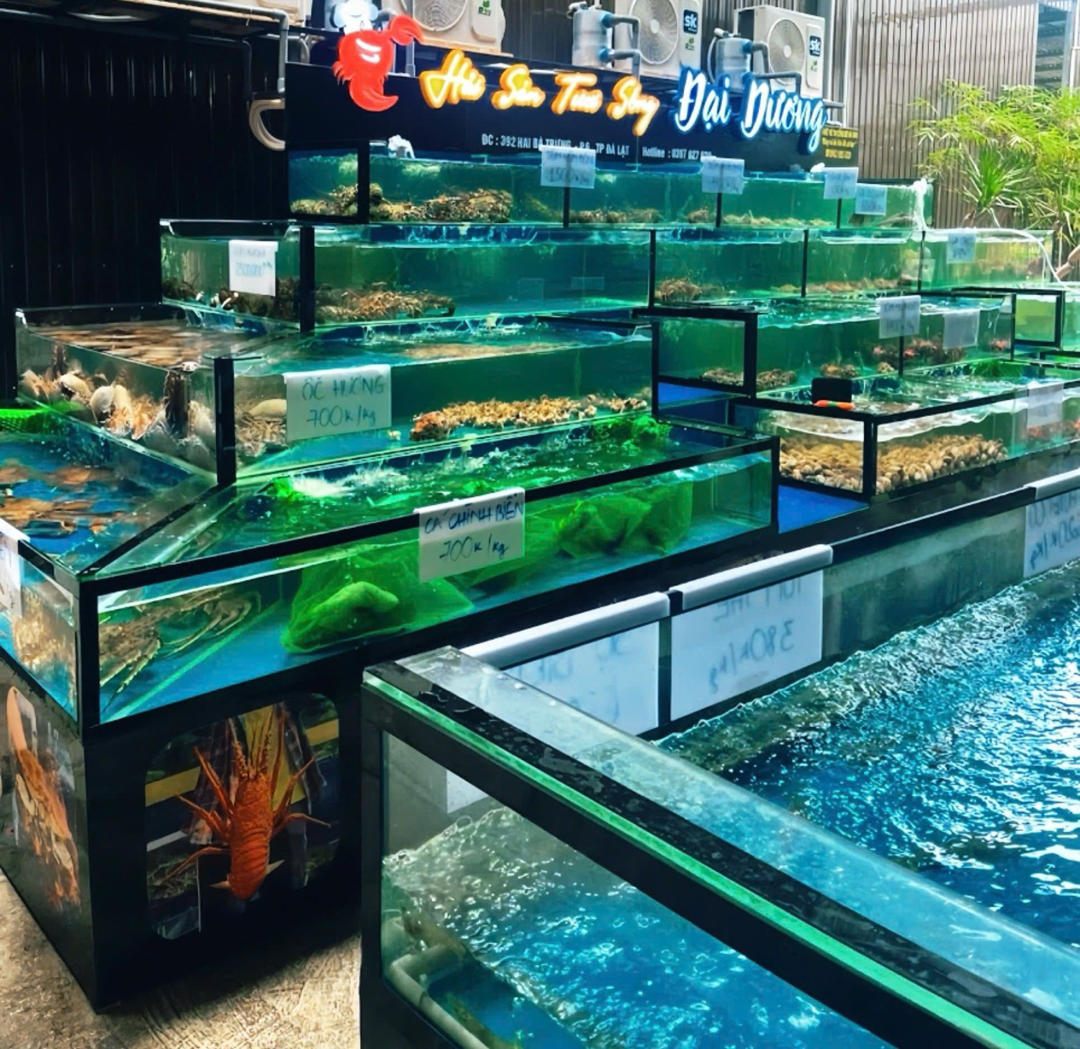 bể hải sản tươi sống