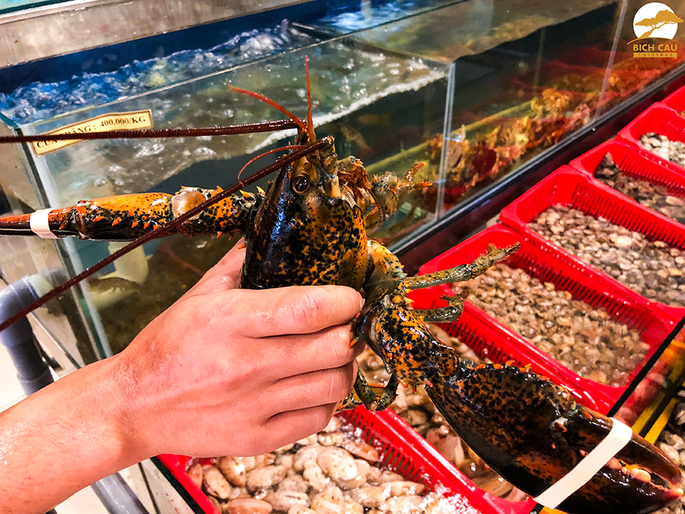 kinh nghiệm chọn hải sản tươi đà lạt